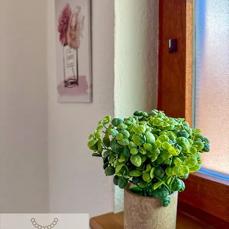 Wohnperle Meusegast Holiday home Dohna