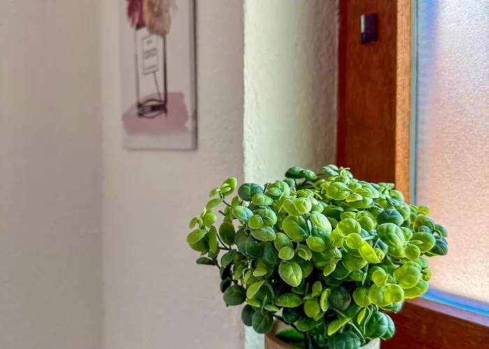 Wohnperle Meusegast 펜션 도나