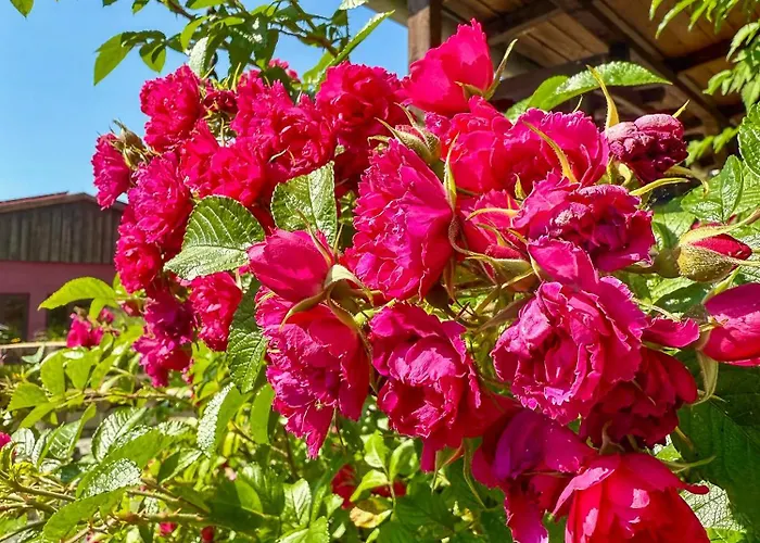 Wohnperle Meusegast 펜션 *